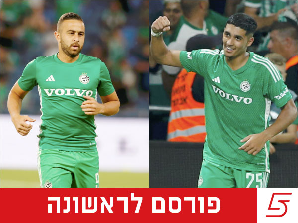 (אלן שיבר)