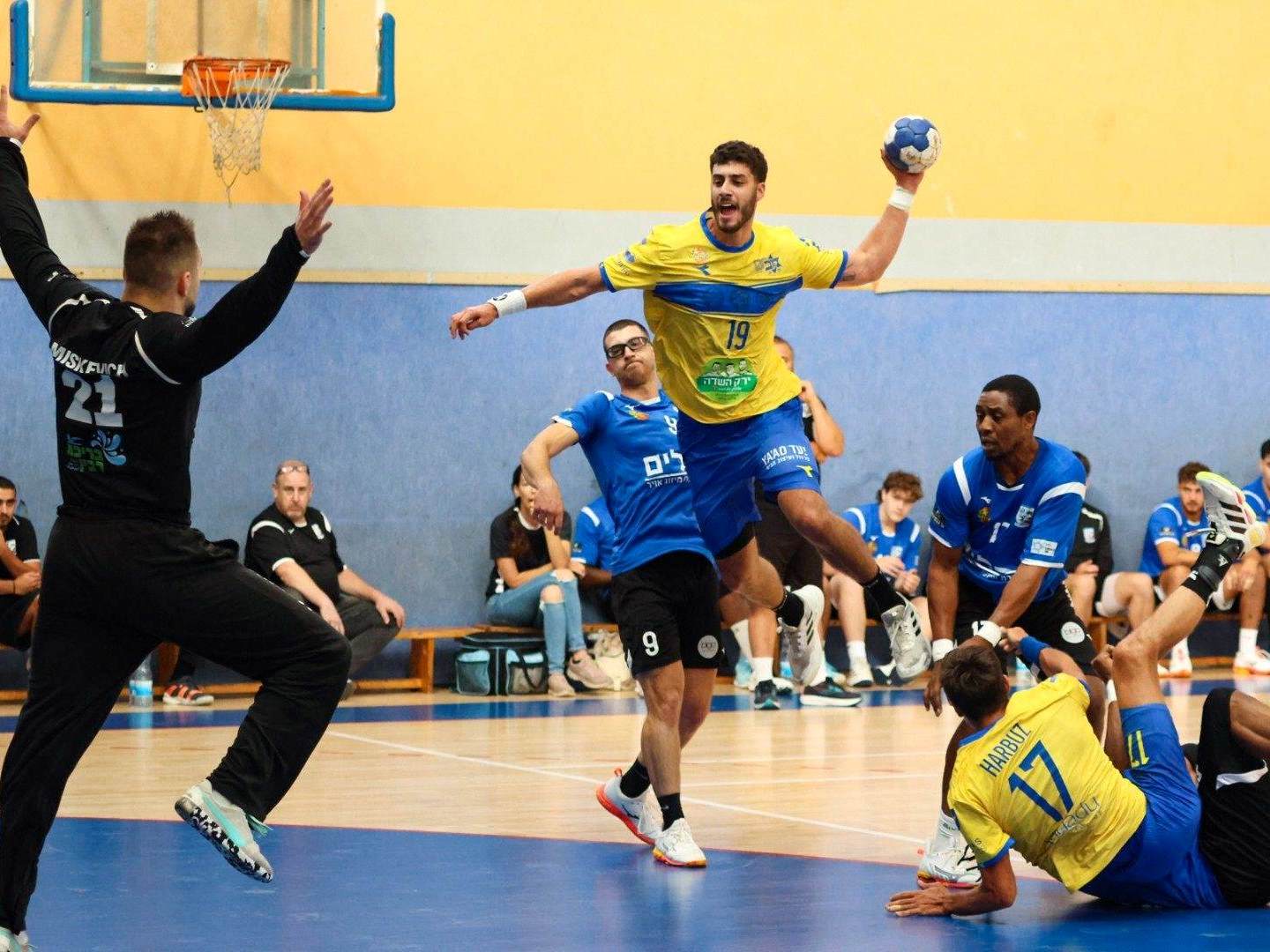 (צילום: הדר ואן קולא)