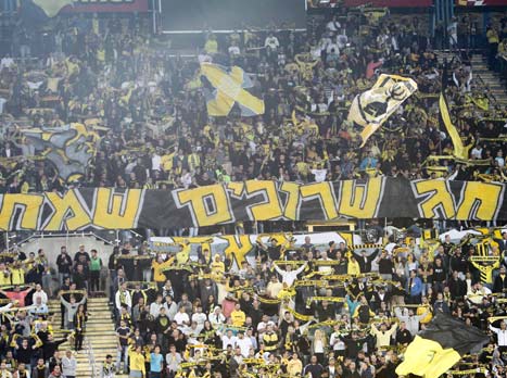 מתכננים לתמוך בטביב (צילום: דני מרון)