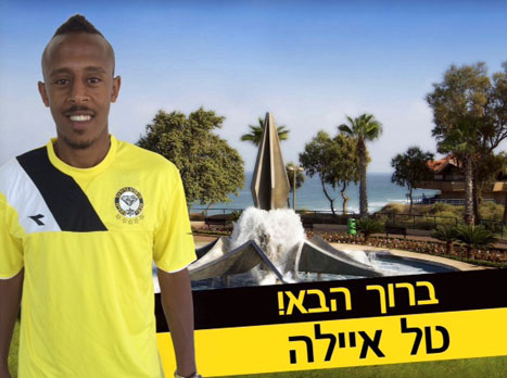 נשאר בצהוב. איילה (האתר הרשמי)