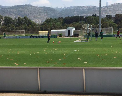 הגזרים שהושלכו באימון מכבי חיפה (צילום: מתוך טוויטר)