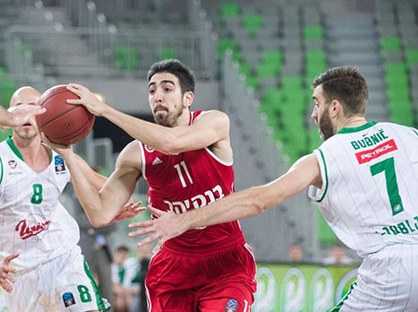 טימור, יעלה עם אנטיביוטיקה (אתר רשמי לובליאנה)