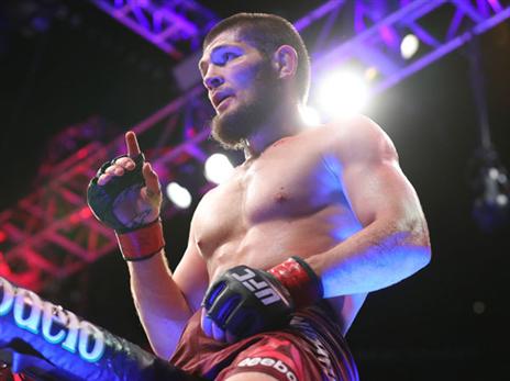 חביב. המודל לחיקוי