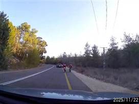 צילום: באדיבות קבוצת פיפמן