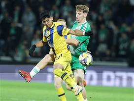 הפעם זה יקרה? (אלן שיבר)