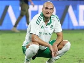 (צילום: מאור אלקסלסי)