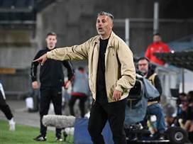 (ברני ארדוב)