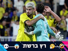 (אלן שיבר)