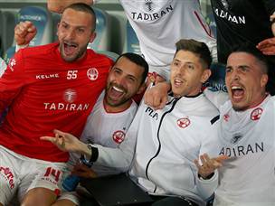 נקמו בחיפאים (אלן שיבר)