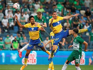 (צילום: אלן שיבר)