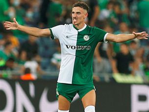 (צילום: אלן שיבר)