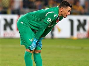 (צילום: אלן שיבר)