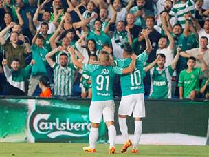 חגיגה בירוק (אלן שיבר)