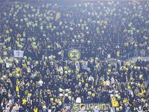 הקהל חזר לטדי (צילום: דני מרון)