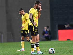 מפלה בצהוב (ברני ארדוב)