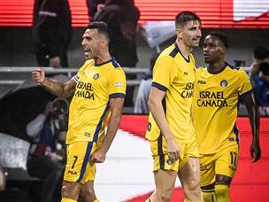 תיקו צבוע בצהוב (אלן שיבר)