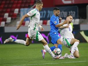 ישראל נראתה טוב (אודי ציטיאט)