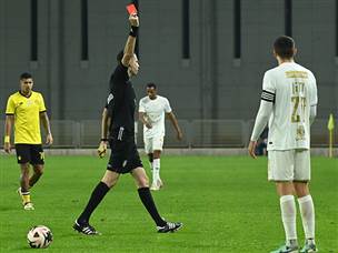 (ברני ארדוב)