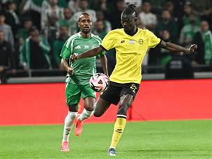 שער של ג`טיי נפסל (ברני ארדוב)