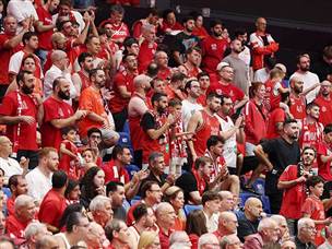 הקהל הביתי (אלן שיבר)