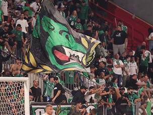 אין להם נחת, אוהדי חיפה (מאור אלקסלסי)