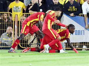 החגיגות של האדומים (אלן שיבר)