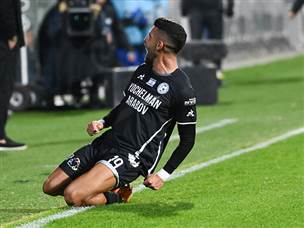 שבירו כבש ראשון (ברני ארדוב)