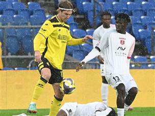 טירוף מוחלט (ברני ארדוב)