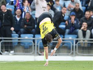 והסלטה המפורסמת (אלן שיבר)