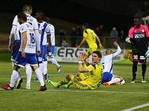 הקבוצה של נעים לא עשתה חיים קלים לצהובים (צילום: לירון מולדובן)