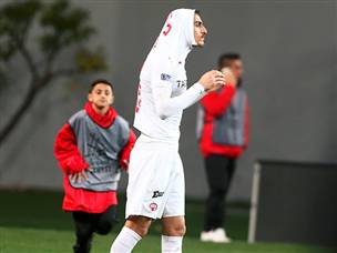 יגיעו לפלייאוף? (אלן שיבר)