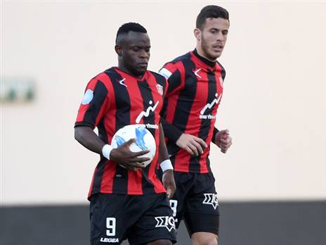 (ברני ארדוב)