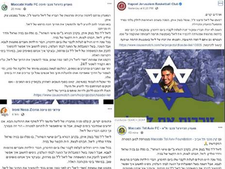 חלק מהקבוצות שתמכו