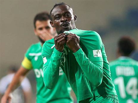 קופי זכה למחמאות. (שיבר)