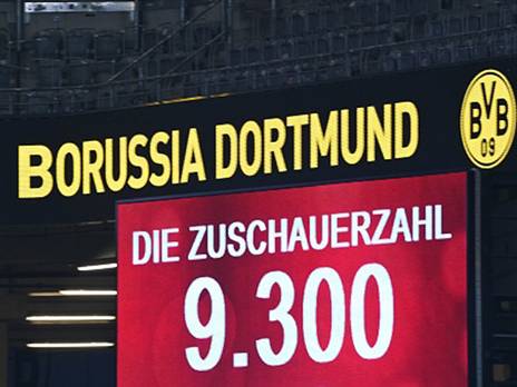 הקהל חזר לזיגנל וראה ניצחון יפה (getty)