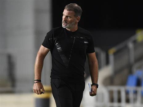 (ברני ארדוב)