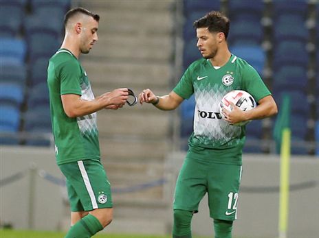 ירידה מנטלית (אלן שיבר)