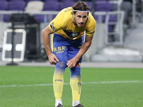 פשיץ'. לא צפוי לחזור (דני מרון)