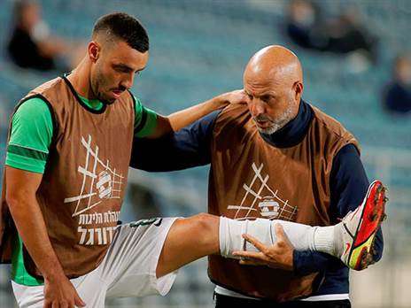 טוב שבאת (אלן שיבר)