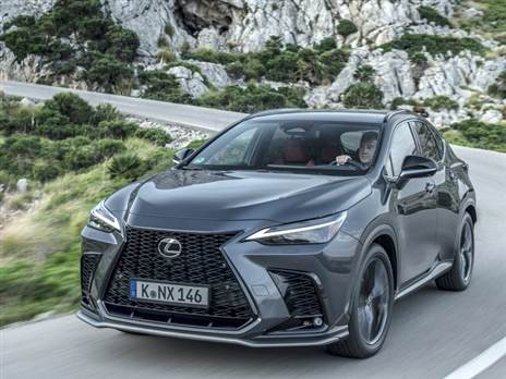 (צילום: יצרן)