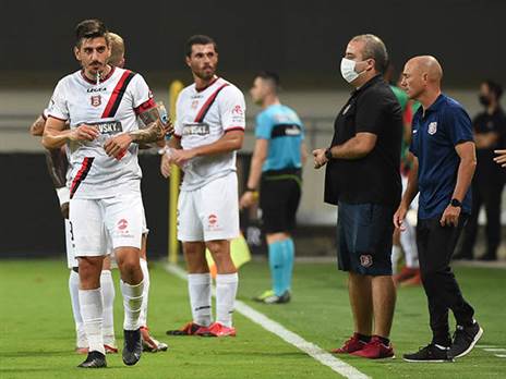 (ברני ארדוב)