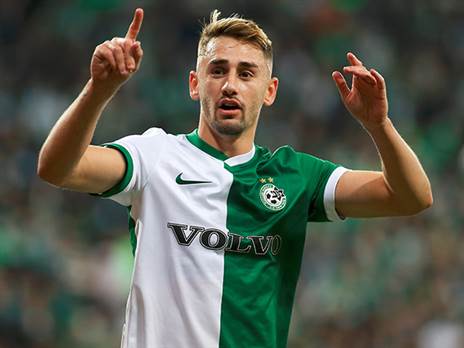 אצילי. רוצה לחזור לכושר (אלן שיבר)