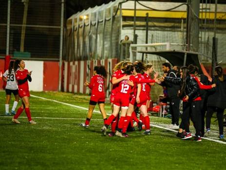 התל אביביות חוגגות בוולפסון (קרדיט: שאול גרינפלד)