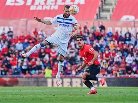 מאבק צמוד (Getty)