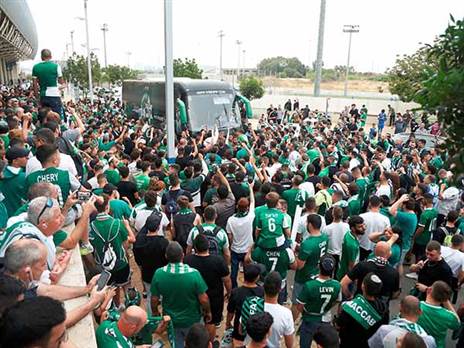 מביש (אלן שיבר)