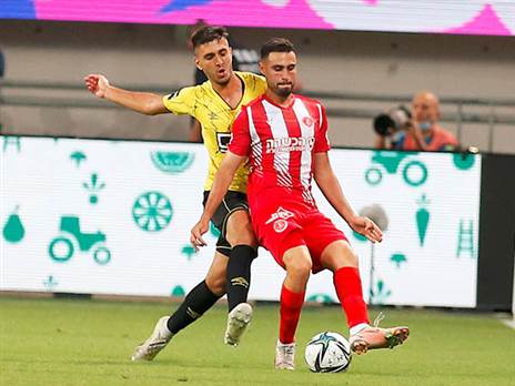 יחזור לסגל של רפואה. תומר (אלן שיבר)