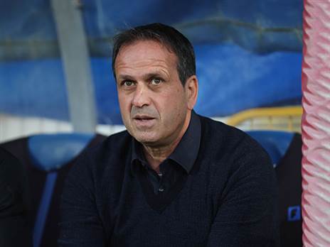 "מצאנו את הכי טוב". לוי (לירון מולדובן)