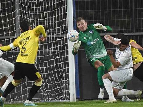 (ברני ארדוב)