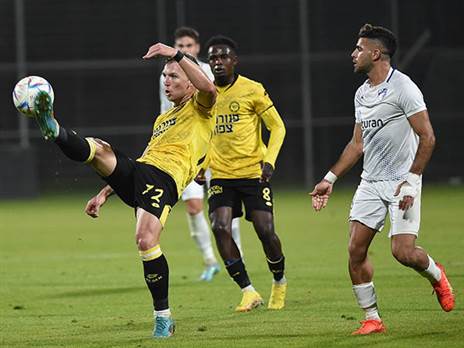 (ברני ארדוב)