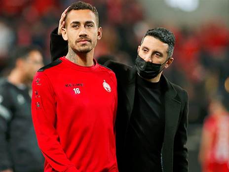 בדרך לריינה (אלן שיבר)